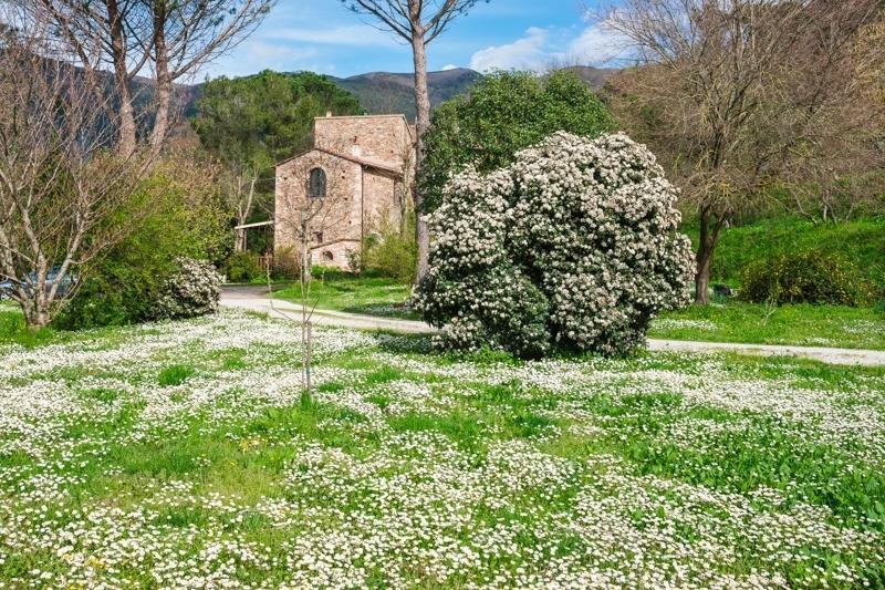 Il Molendino Pisa B&B Calci Εξωτερικό φωτογραφία