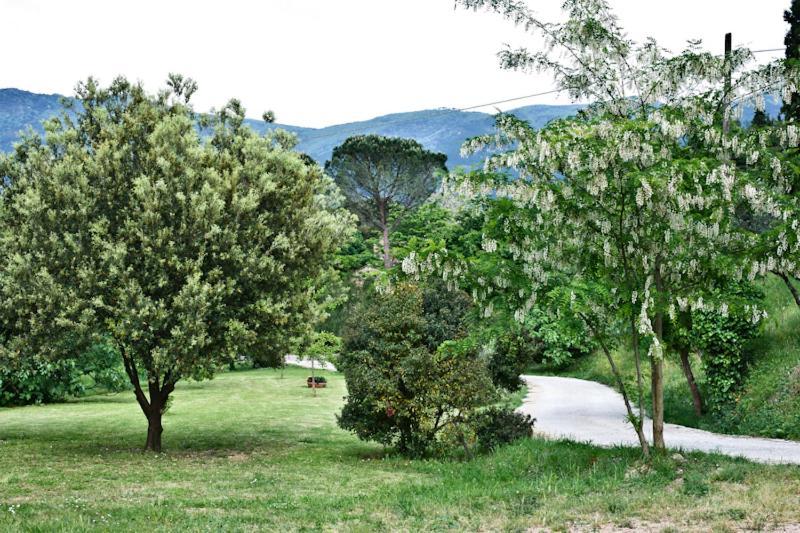 Il Molendino Pisa B&B Calci Εξωτερικό φωτογραφία