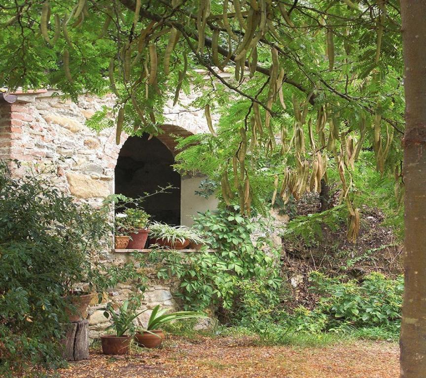 Il Molendino Pisa B&B Calci Εξωτερικό φωτογραφία