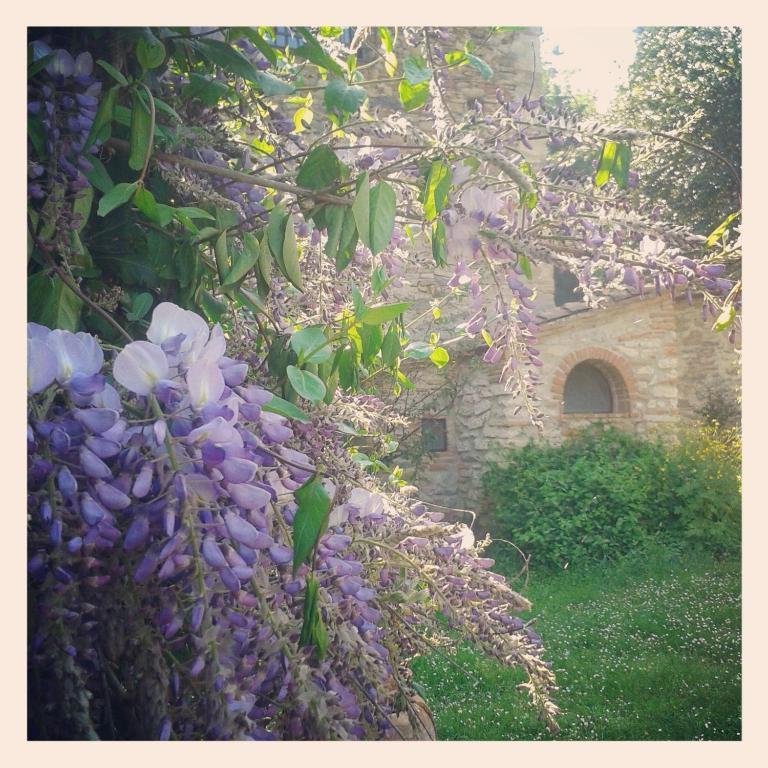 Il Molendino Pisa B&B Calci Εξωτερικό φωτογραφία
