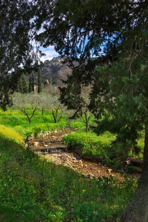 Il Molendino Pisa B&B Calci Εξωτερικό φωτογραφία